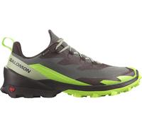 SALOMON Herren Multifunktionsschuhe SHOES CROSS OVER 2 GTX Desert/Grgeck/Cho (L47268600) 40 ⅔ Desert Sage/Green Gecko/Chocolate P