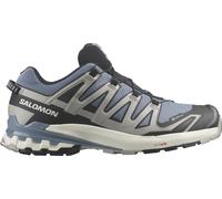SALOMON Herren Trailrunningschuhe SHOES XA PRO 3D V9 GTX Flint/Black/Ghost (L47270600) 47 ⅓ Flint Stone/Black/Ghost Gray