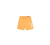 Alpha Industries Alpha Puff Print Shorts Größe XL Orange