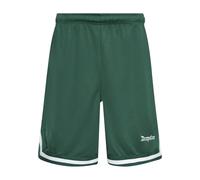 Shorts DROPSIZE "Dropsize Herren Dropsize Logo Mesh Shorts", Herren, Gr. L, US-Größen, grün, 100% Polyester, loose fit, Hosen Shorts (39189418-L) grün