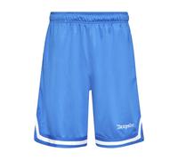 Shorts DROPSIZE "Dropsize Herren Dropsize Logo Mesh Shorts", Herren, Gr. M, US-Größen, royal blau, 100% Polyester, loose fit, Hosen Shorts (81385465-M) royal blau