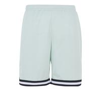 Karl Kani Herren KM-PS011-100-06 KK Small Signature Essential Mesh Shorts Light Green, XXL