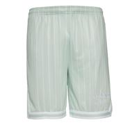 Shorts KARL KANI "Karl Kani Herren KM232-005-1 KK Retro Pinstripes Mesh Shorts", Herren, Gr. L, US-Größen, light mint, weiß, 100% Polyester (Recycelt), gestreift, normal, Hosen Shorts (40533767-L) lig