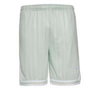 Shorts KARL KANI "Karl Kani Herren KM232-005-1 KK Retro Pinstripes Mesh Shorts", Herren, Gr. XS, US-Größen, light mint, weiß, 100% Polyester (Recycelt), gestreift, normal, Hosen Shorts (40533767-XS) l