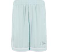 Shorts KARL KANI "Karl Kani Small Varsity Logo Pinstripe Mesh Shorts", Herren, Gr. M, US-Größen, turquoise, 100% Polyester, loose fit, Hosen Shorts (83964854-M) turquoise