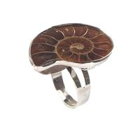 SHUIXIN Spirale-Ammonit Muschel Natürliche Fossil Fingerring Anhänger Strand Gelenk Für Frauen Schmuck Geschenk Valentinstag Fossil Frauen
