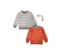 Sigikid Mini Jungen Wendeshirt Polar Expedition