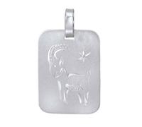 Silberanhänger Sternzeichen - Steinbock