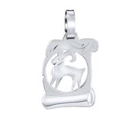 Silberanhänger Sternzeichen Steinbock - Pergament