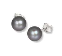 SilberDream Ohrstecker für Damen 925 Silber grau Perle Ohrringe 8,5mm SDO109K