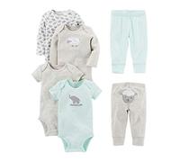Simple Joys by Carter's Unisex Baby 6-teiliges Set, Bodys (Kurz- und Langarm) und Hosen, Grau/Minzgrün/Elefant/Lamm, 24 Monate