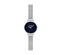 Skagen Anita Micro Damen 22MM Silberfarbene Edelstahl Uhr, SKW3172