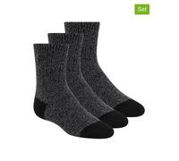 Skechers 3er-Set: Socken in Anthrazit - Größe 27,5-35,5 | Kinder Socken Strumpfhosen