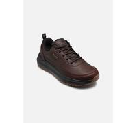 Skechers - Parnell-Gracen - Braun - Sneaker - Größe 45