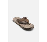 Skechers - Zehensandalen Quill - Sea Side - Braun - Größe 45