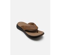 Skechers Herrenschuhe Trainings- & Hallenschuhe Braun Braun - Gr. - 43