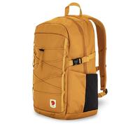 Skule 24 F23200335-gelb