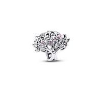 Slide-Charm Stammbaum aus 925er Silber, Moments