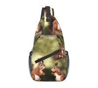 Sling Bags für Damen und Herren, niedlicher Eichhörnchen-Rucksack, verstellbarer Gürtel, Bauchtasche, Bauchtasche für Reisen, Sport, Laufen, Wandern, Hüfttasche, schwarz, Einheitsgröße, Schwarz ,