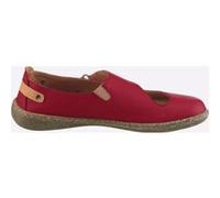 Slipper rot 40