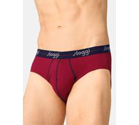 sloggi Midi Slip Herren mehrfarbig, XL