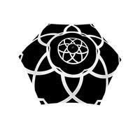 SMATI Taschenschirm sturmfest - Stabil - kompakte -Regenschirm winddicht (Schwarz und Weiss blume)