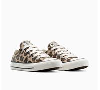 Sneaker CONVERSE "CHUCK TAYLOR ALL STAR", Jungen, Gr. 37, warm quarry, vintage weiß, schwarz, Textil, Schuhe Sneaker (16679538-37) warm quarry, vintage weiß, schwarz