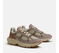 Sneaker TIMBERLAND "HAZEL LANE - LOW LACE SNEAKER", Damen, Gr. 37, ltbeimeshwltpnk, Leder, Synthetik, Schuhe Sneaker (69466712-37) ltbeimeshwltpnk