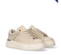 Sneaker TOMMY HILFIGER, Jungen, Gr. 39, beige (natur), Lederimitat, Textil, Schuhe Sneaker, Freizeitschuh, Halbschuh, Schnürer mit Schmuckelement (35074621-39) natur