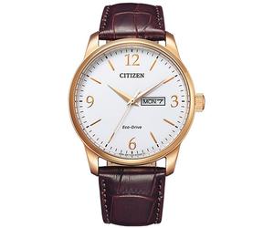 Solaruhr CITIZEN, braun (braun, weiß), Armbanduhren, Herren, Armbanduhr, Herrenuhr (78896749-0) braun, weiß