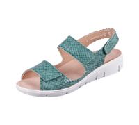 Solidus 76029 70157 - 298700012 7,5