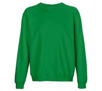 SOLS - "Columbia" Sweatshirt Rundhalsausschnitt für Herren/Damen Unisex (Irisches Grün) S