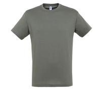 SOLS Herren Regent T-Shirt mit kurzen Ärmeln (Zink) M