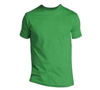 Sols Imperial - Herren-T-Shirt mit kurzen Ärmeln, Zartgrün, 58