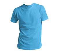 Sols Regent Herren T-Shirt, Kurzarm (S) (Atollblau)