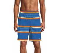 Speedo Mens Hydro Volley Swim Shorts (Speedo Blue Stripe, Large 34/36)