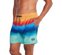 Speedo Uni-Erwachsene Swim Trunk Mid Length Redondo Printed Badehose, Boom Flux, Large