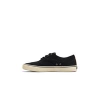 Sperry Striper Knit Sneaker für Herren, Schwarz, 41 EU