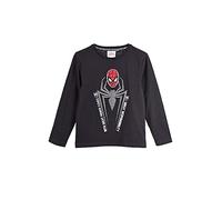 Spider-Man Kinder Jungen Langarm-Shirt T-Shirt Longsleeve Grau (98)