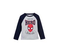 Spiderman Longsleeve "Spiderman" in Grau - Größe 128 | Kinder Longsleeves