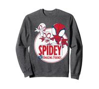 Spidey & His Amazing Friends Circle Sweatshirt, Unisex für Erwachsene, Anthrazit Meliert, XL