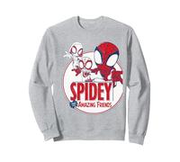 Spidey & His Amazing Friends Circle Sweatshirt, Unisex für Erwachsene, Grau Meliert, XXL