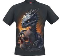 Spiral Hatchling T-Shirt schwarz in XXL