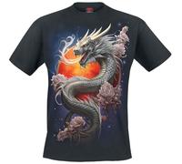 Spiral Sun Dragon T-Shirt schwarz in 3XL