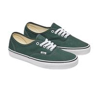 Sportliche Vans Authentic Color Theory Unisex Sneaker VN000D7Y-13734 Grün 42 1/2
