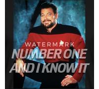 Spreadshirt Star Trek The Next Generation Riker Nummer Eins Männer T-Shirt, XXL, Schwarz