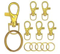 Sprookber 100 Stücke Karabiner Schlüsselanhänger mit Drehgelenk Karabiner Klein Schlüsselring für Lanyard DIY Handwerk(Golden)