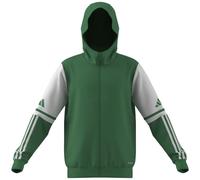 Squadra 25 Kinder Kapuzensweater, grün, Gr. 164