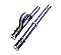 SRTYDCUR Uhrenarmband Blau Khaki Grün Schwarz Armband Ringschnalle Kompatibel mit Nato Nylon Canvas Band 18/20/22mm 24mm Zubehör(Blue white blue,22MM_SILVER BUCKLE)