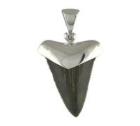 Starborn Fossil Shark Tooth Cap Set Anhänger aus Sterlingsilber